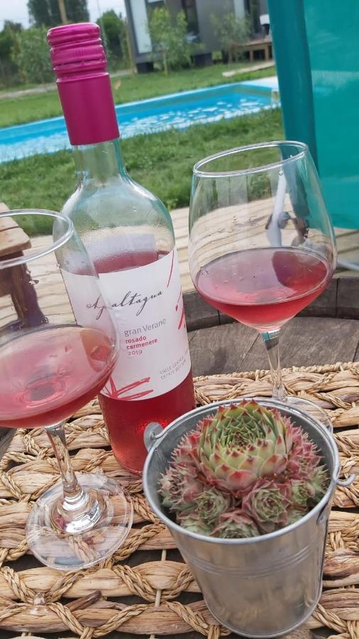 圣克鲁兹Tiny Colchagua Cabanas Y Padel公寓 外观 照片