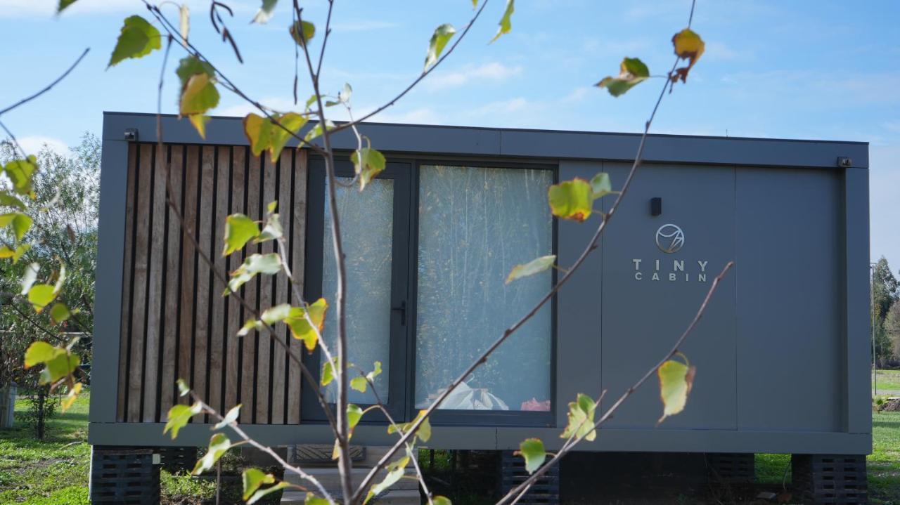圣克鲁兹Tiny Colchagua Cabanas Y Padel公寓 外观 照片